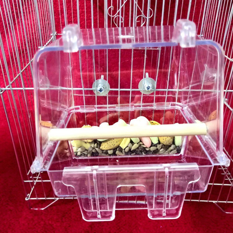 Abreuvoir automatique pratique pour oiseaux, abreuvoir pour Cage à oiseaux