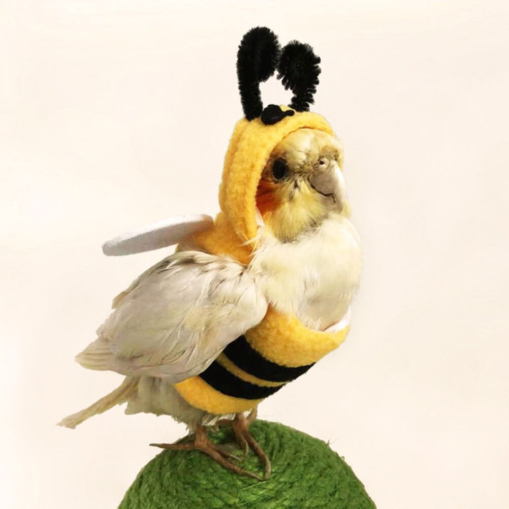 Kleine Vogel Kostuum Polyester Papegaai Kleding Mooie Papegaai Kleding Huisdier Vogel Kleding