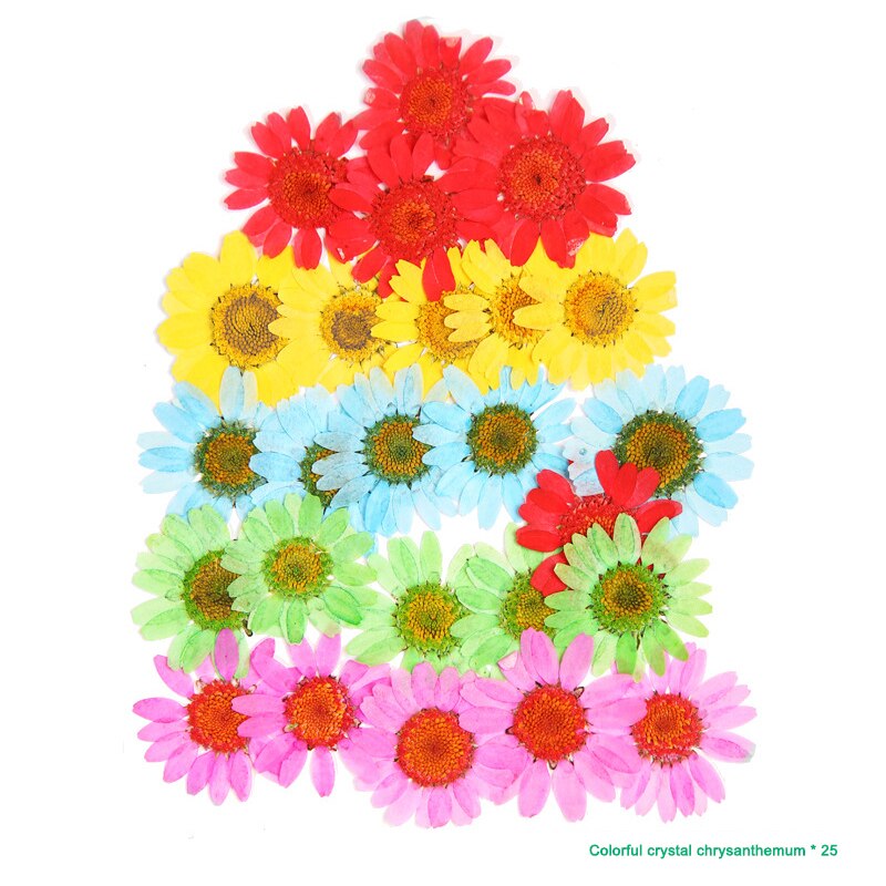 Bra hälsosam pressad blomma blandade torkade blommor gör-det-själv konst blomdekor samling hantverk gör-det-själv
