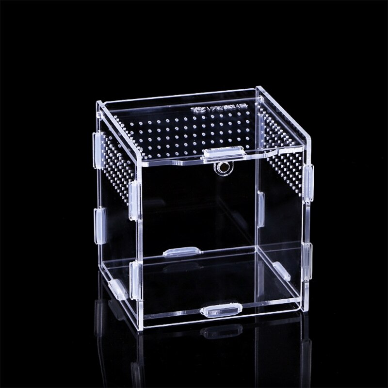 Insect Feeding Box Transparent Acrylic Container Terrarium for Spiders Scorpions