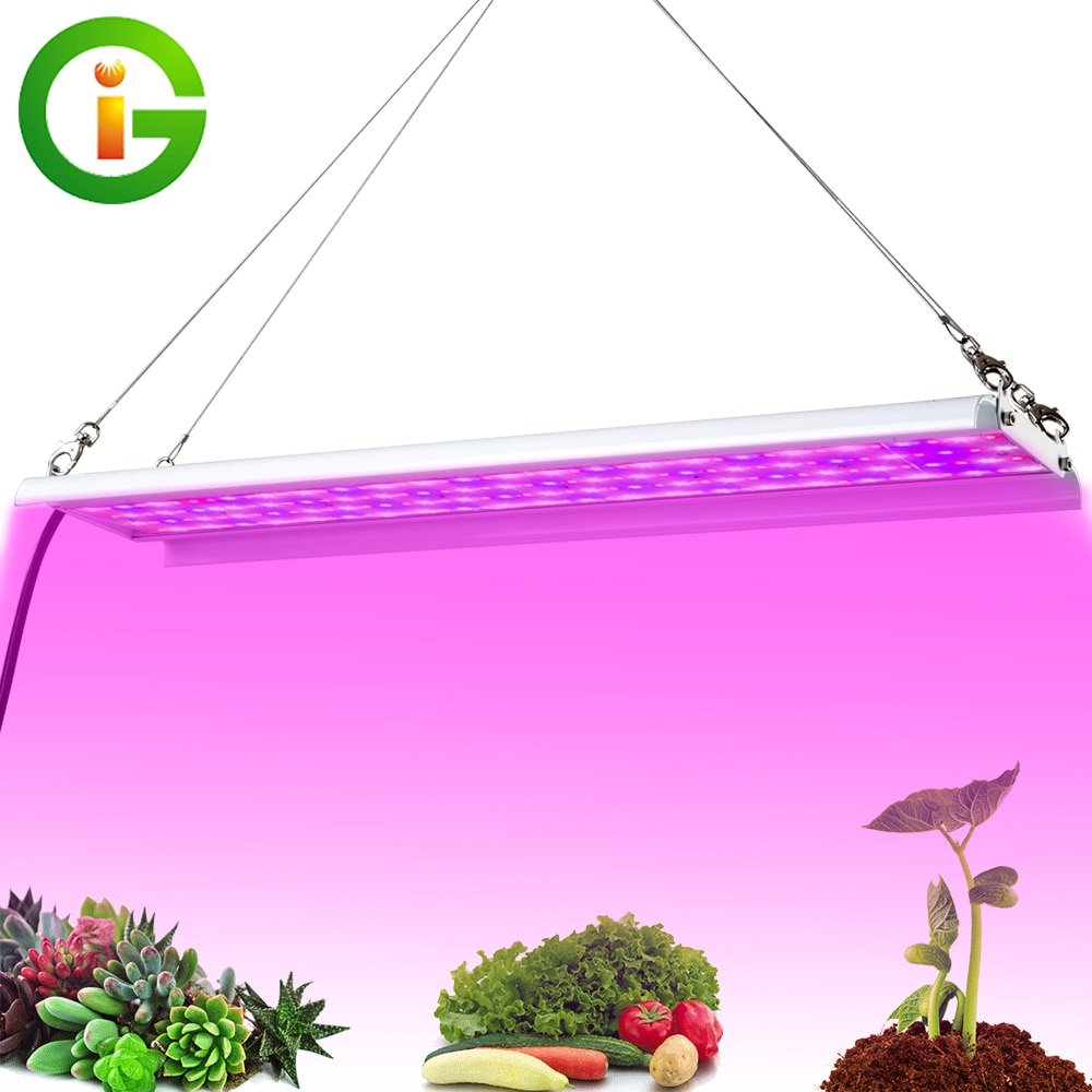 LED licht groeien 1000WFull Spectrum hoge lichtopbrengst Phyto Lamp voor Indoor Tent Greenhouse hydrocultuur Plant Flower