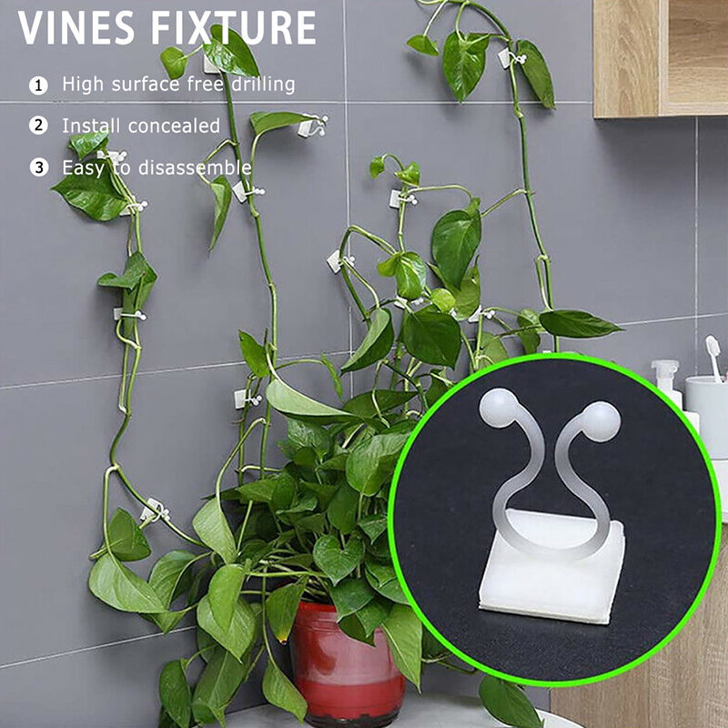 20 stk usynlig væg vinstokke armatur rattan klemme klip væg klæbrig krog klatre vin plante fixer haveindretning holder plante stent