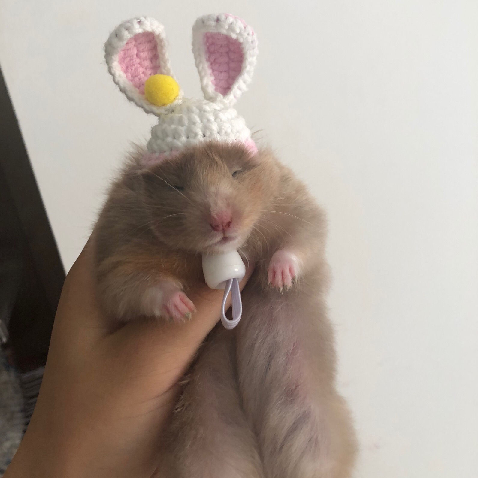 Hand Crocheted Hamster Hat Hamster Accessories Chipmunk Dwarf Rat Small Animal Hat Cute Hamster Clothes Hamster Supplies: 006