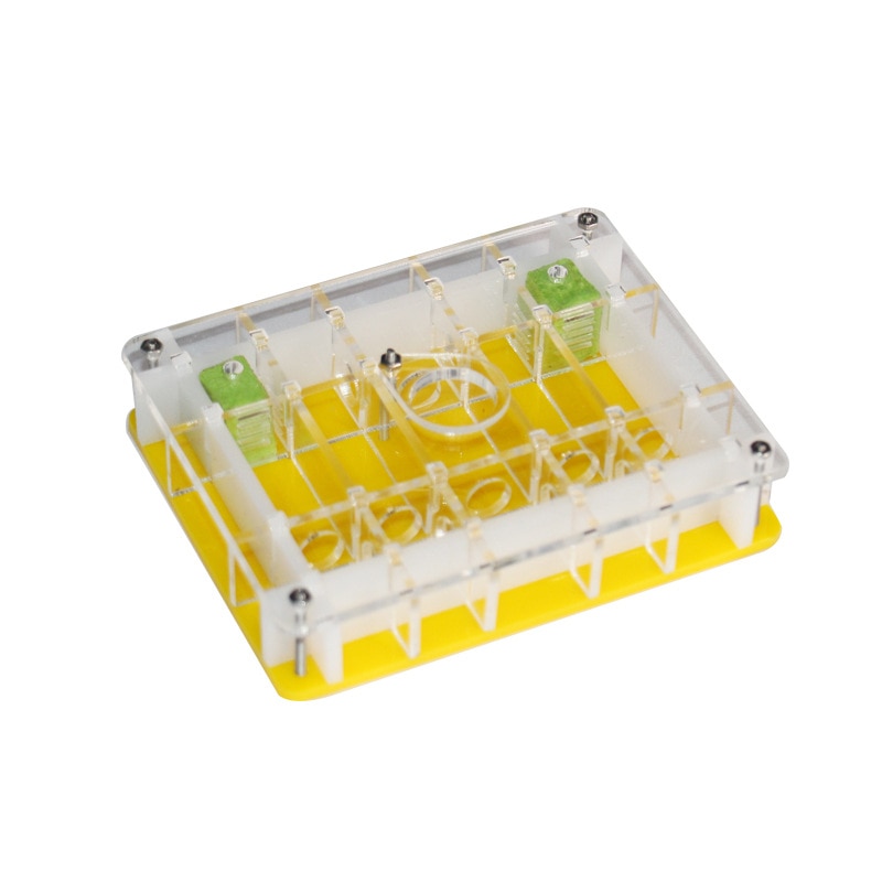 Insect Grate Lair Transparent Acrylic Box Ant Farm... – Grandado