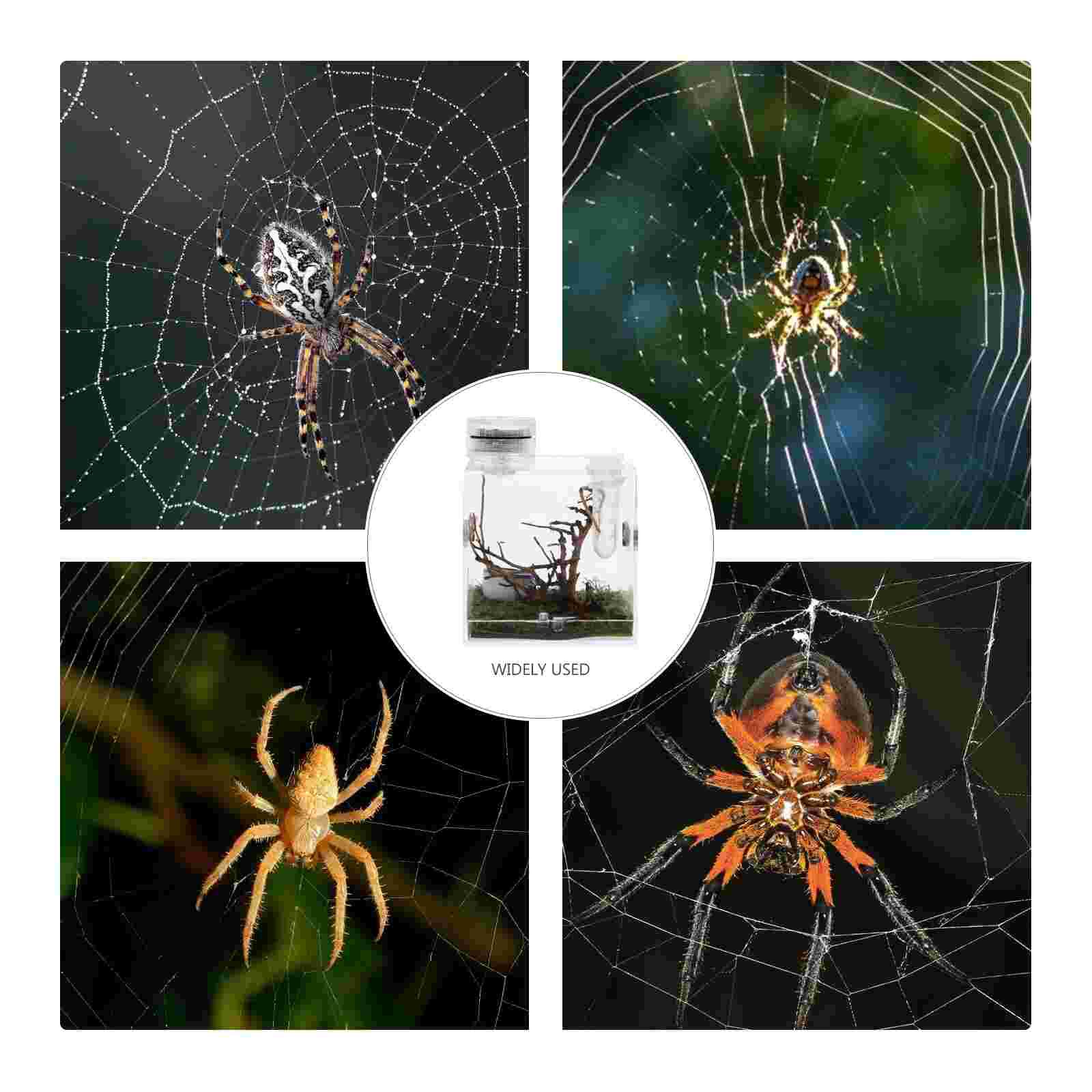 Spider Habitat Box Jumping Spider Breeding Case Spider Storage Box with Lamp Transparent Breeding Box for Spiders Small Insects