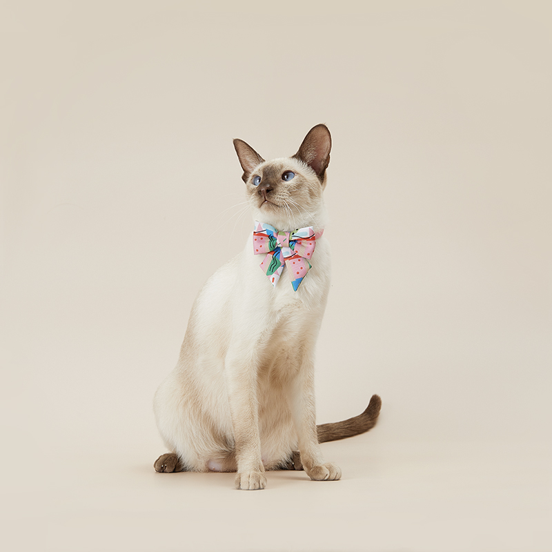 PETKIT-Collar con lazo para mascota, accesorio bonito para perros pequeños, accesorios para gatos, hebilla de seguridad antiasfixia