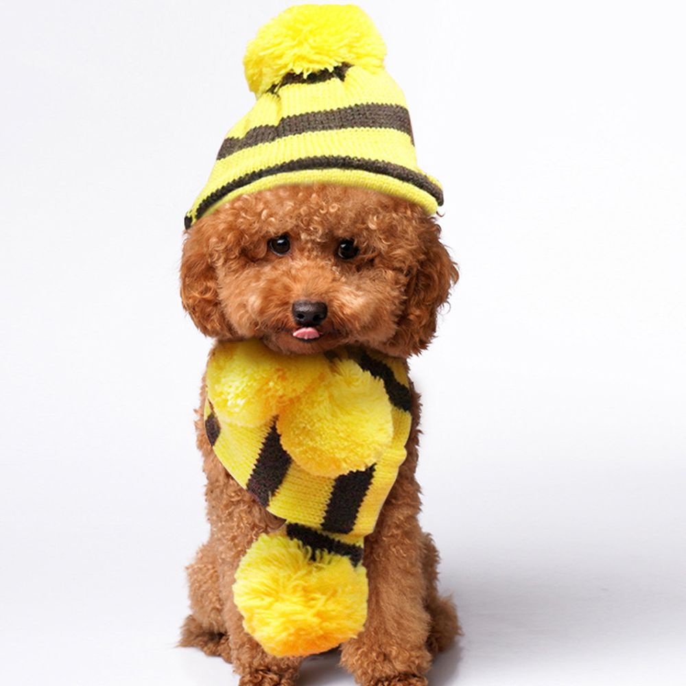 3 Stks/set Leuke Sets Pet Hond Kat Hoed Sjaal Sokken Pak Puppy Kitty Gebreide Streep Kostuum Kleding Outdoor Winter Warm huisdier Producten