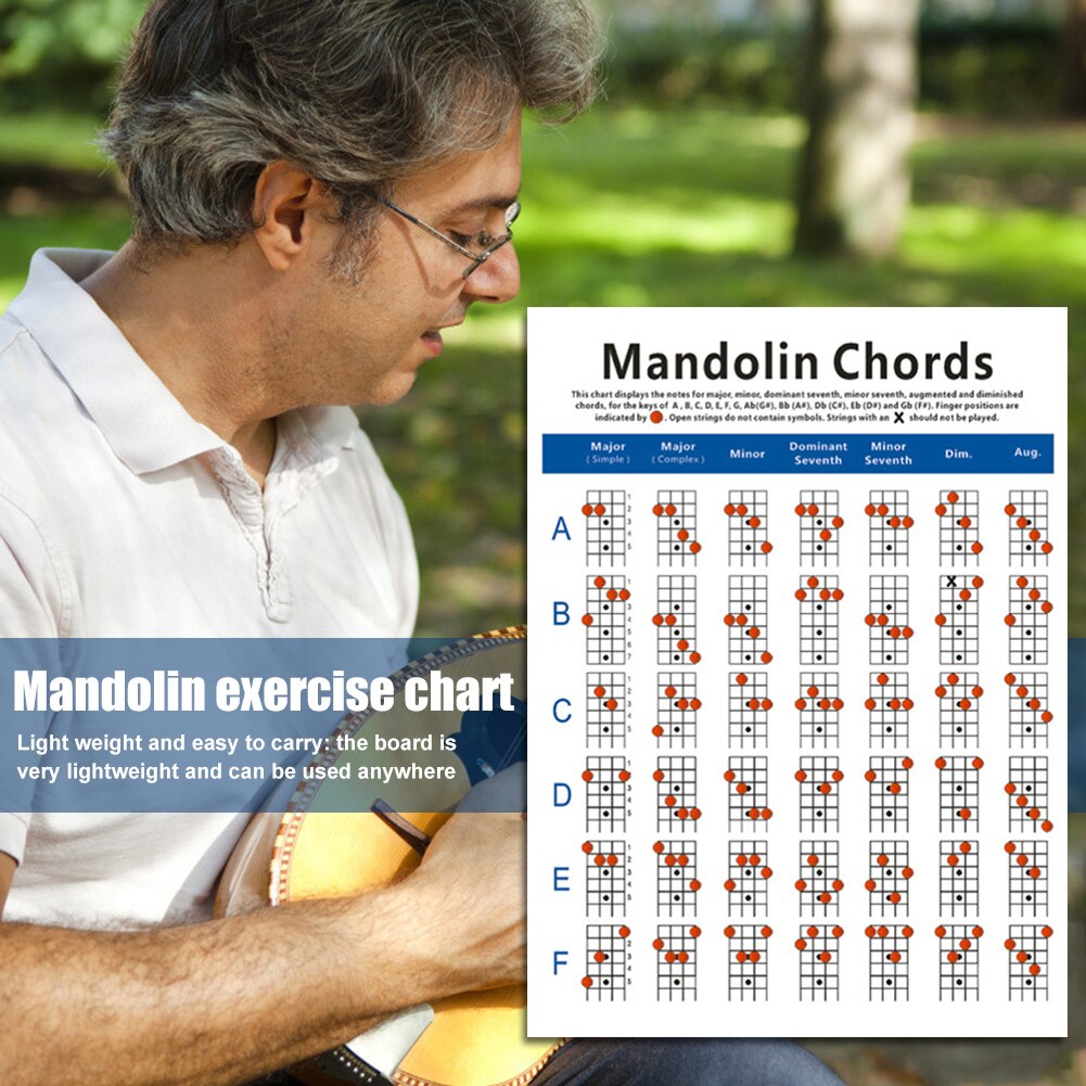 Mandolin Fretboard Chord Chart Finger Exercise Poster Coated Paper Fingering Diagram for Beginner