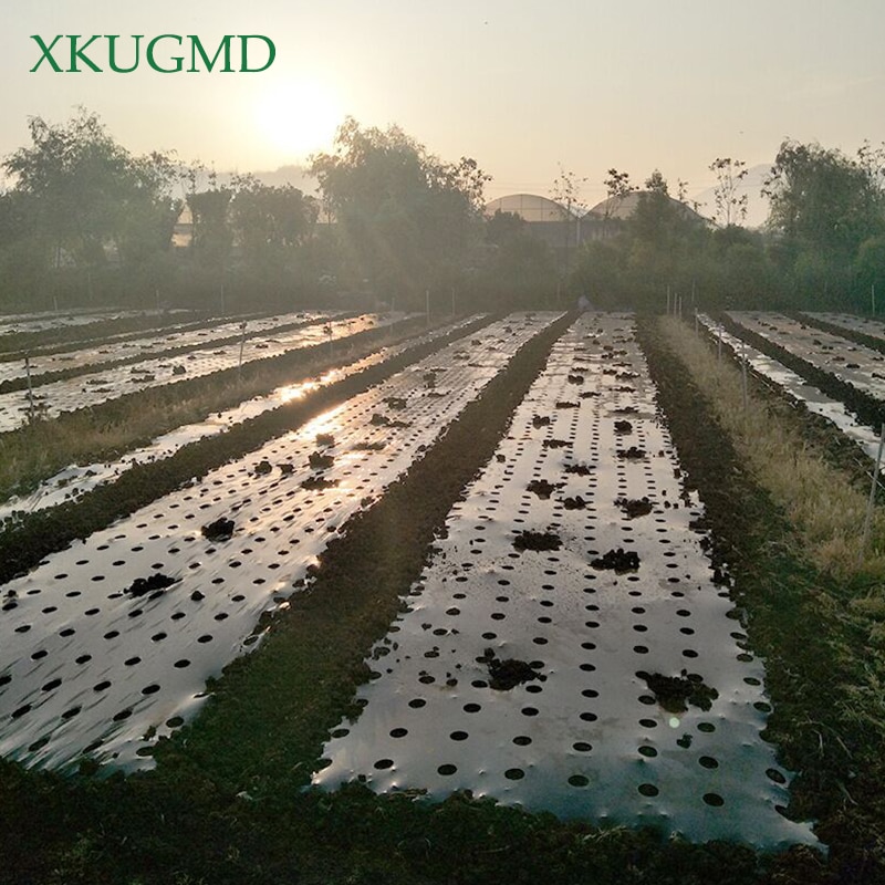 95cm*50m 5Holes 0.03mm Black Mulch Film Gardening Flower Vegetable Seedling Plants Plastic Perforated PE Film Mulching Membrane