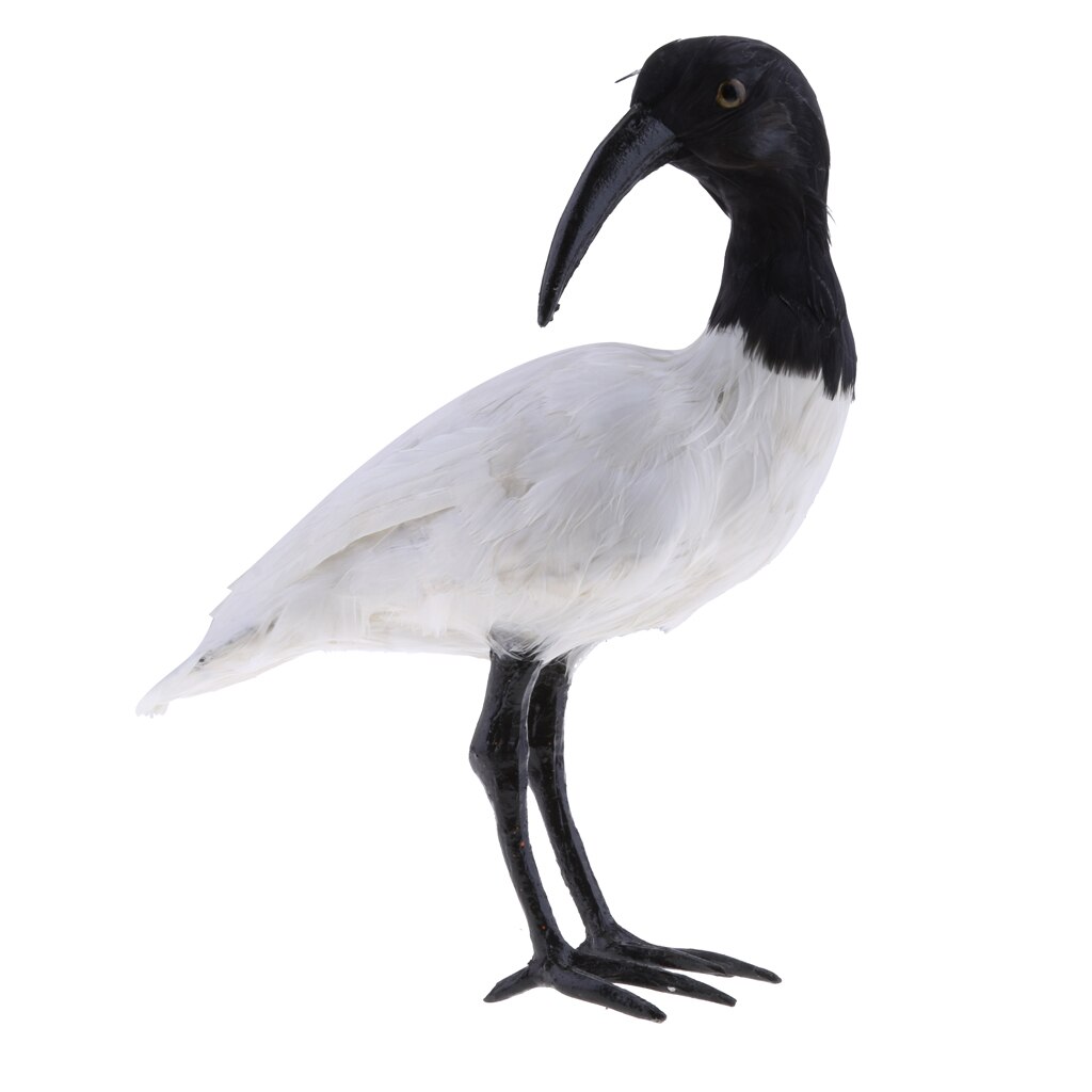 Realistic Magpie Peacock Bird Figurine Garden Ornaments Decor: Black Crested Ibis