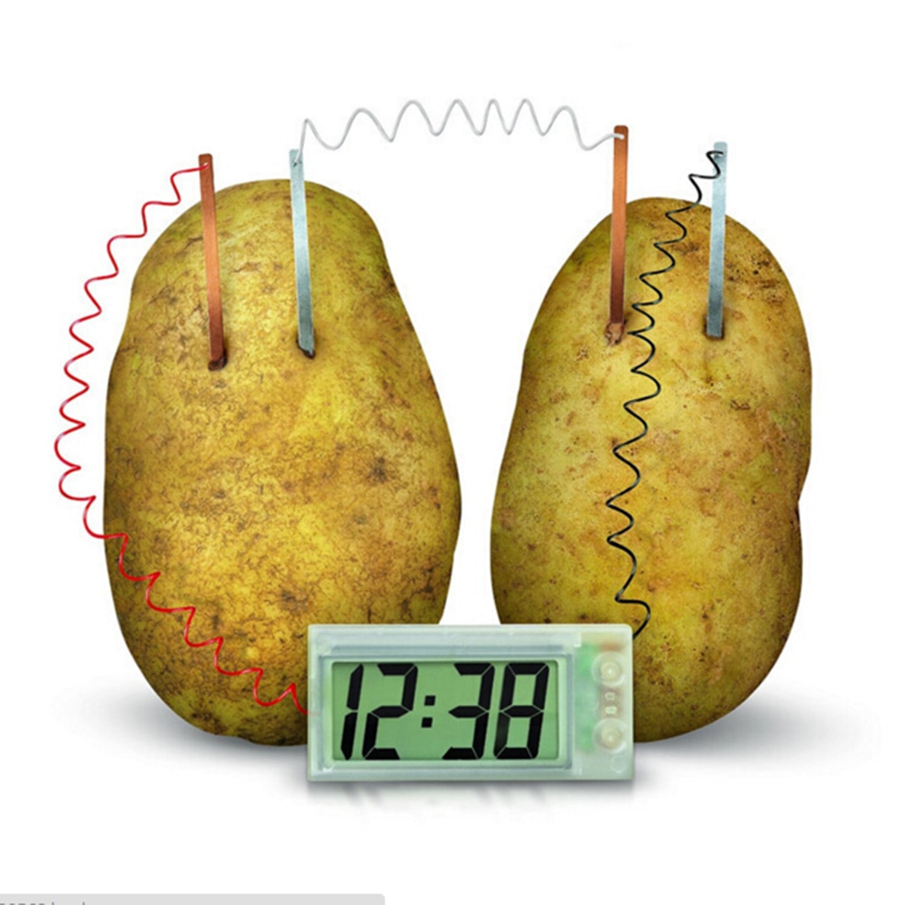 Reloj de patata célula electroquímica suministros de Material de experimento, Escuela divertida Kit de ciencia verde Material de bricolaje educativo