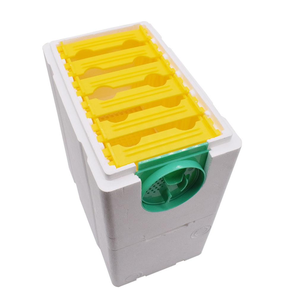 Caja de cría de abejas automática, suministros de espuma de colmena, herramienta de doble capa