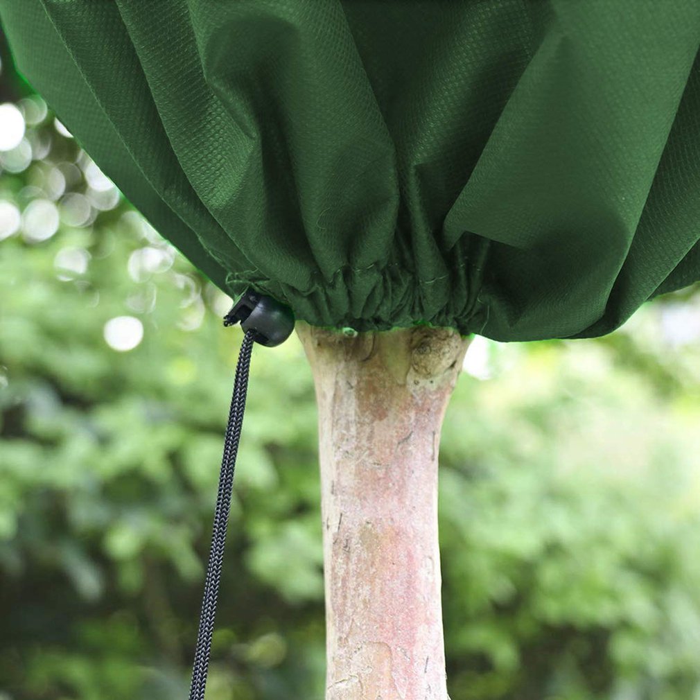 Vorstbestendige boombedekking, plantenbeschermingshoezen, winterplanten, vorstbeschermingsdeken, jas voor planten