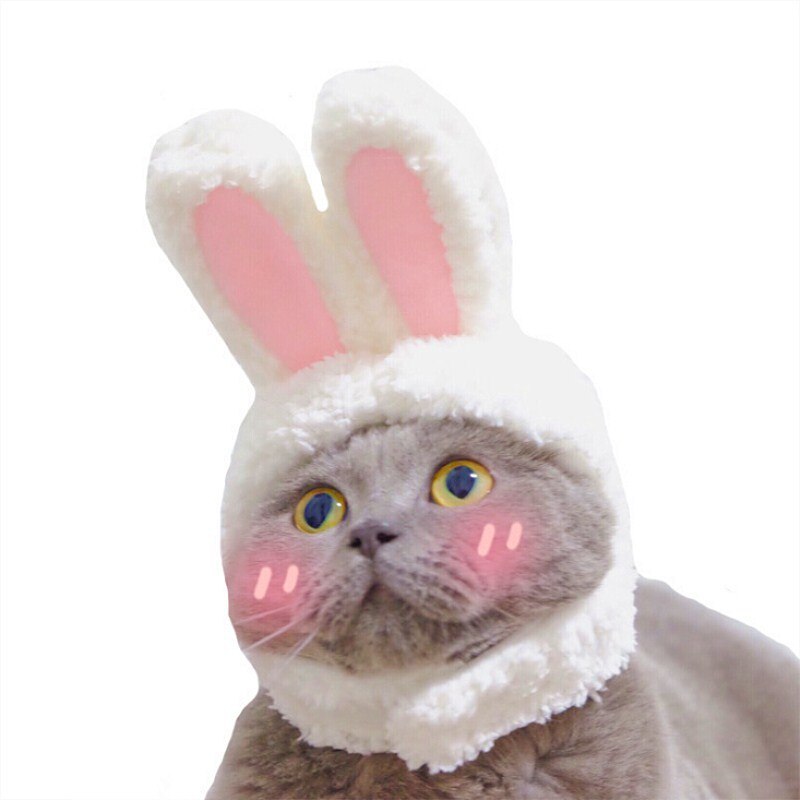 Gorro con orejas de conejo para gatos y perros pequeños, gorro de felpa con orejas de conejo, para Pascua, productos para mascotas, 2022