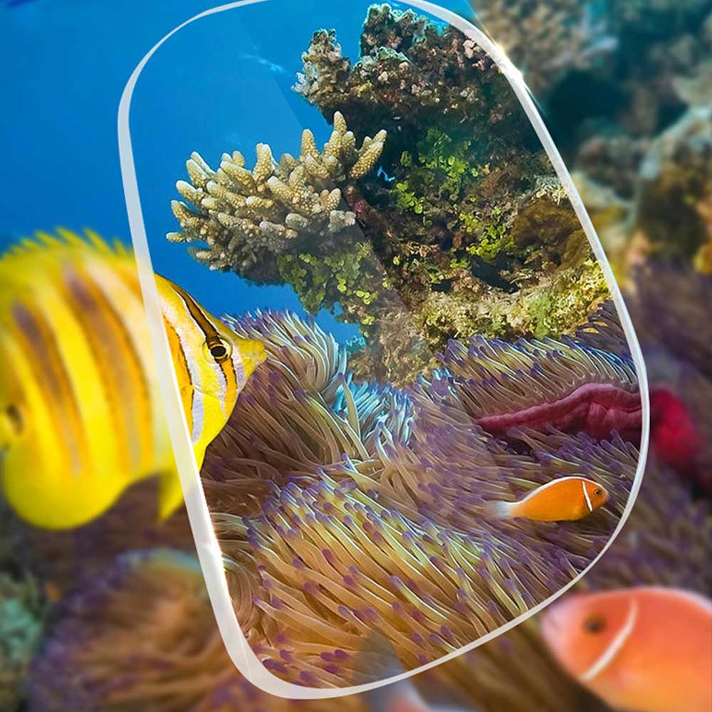 Snorkel Diving Mask and Snorkels Anti-Fog Goggles Glasses Diving Swimming Easy Breath Tube Set Snorkel Mask