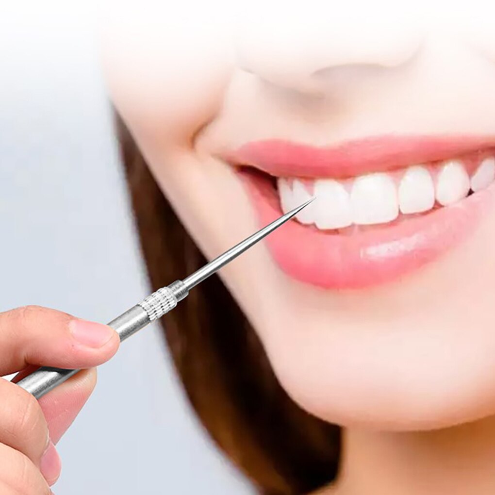 Toothpick Metal Travel Toothpick Portable Fruit Fork Tooth Cleaning Accessory with Holder Travel Metal Toothpick Metal Toothpick