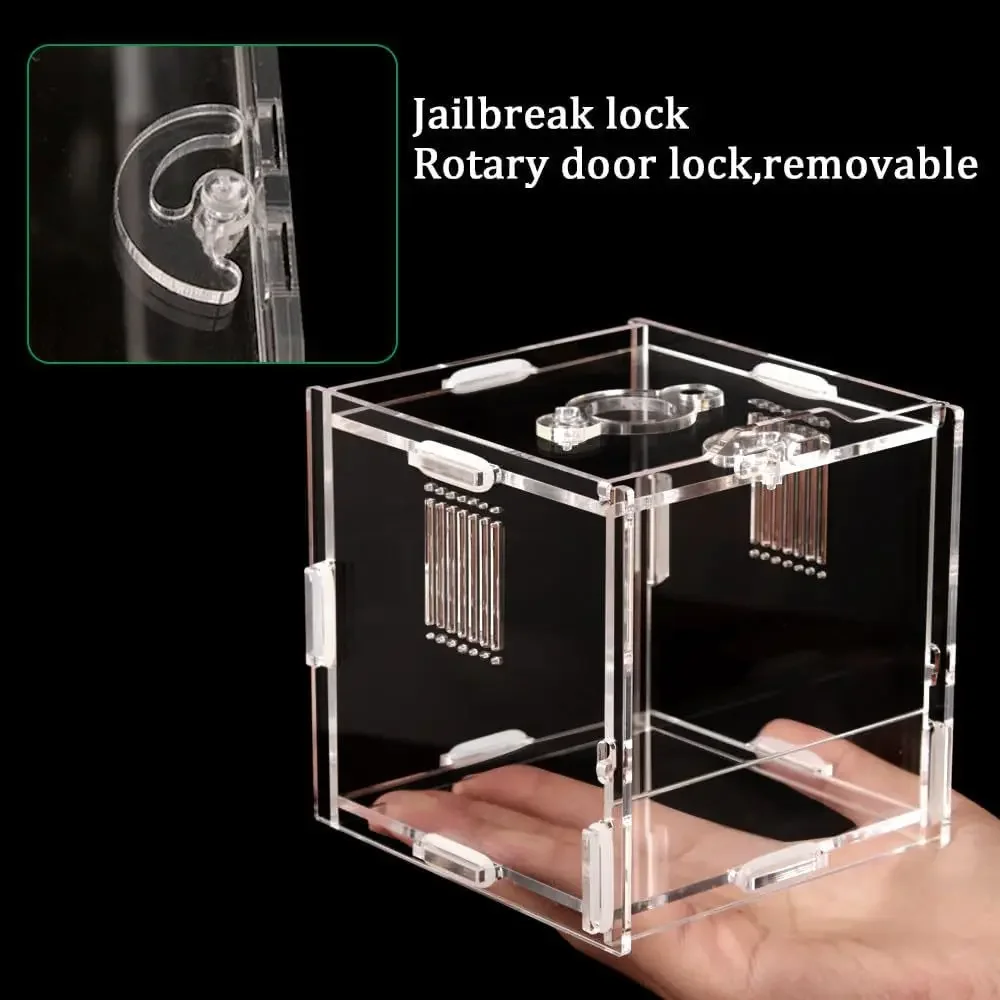 Caja de alimentación de araña acrílica, jaula acrílica transparente para Reptiles pequeños, hábitat, arañas saltadoras, jaulas antiescape para insectos, caja de cría