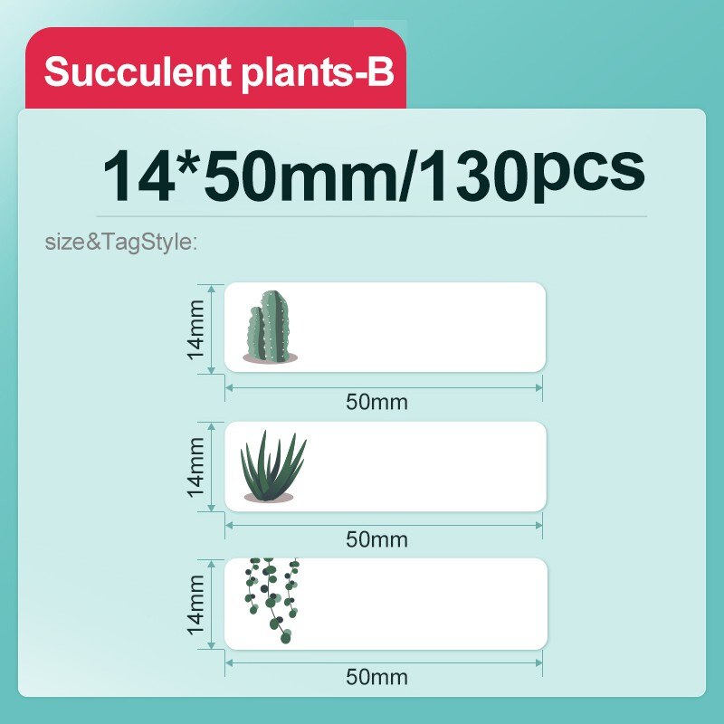 NiimBot D11/D110 label paper name sticker books stationery box textbook homework box waterproof self cartoon sticker: Succulent plants-B