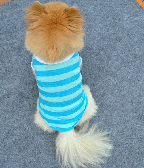 Kæledyr hund veste marineblå stribe bomuld hvalp t-shirts hund sommer afslappet tøj til lille hund bamse chihuahua: Blå / L