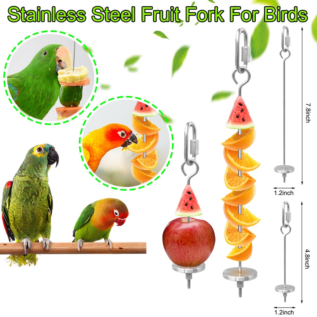 Bird Food Holder Bird Feeders Stainless Steel Parrot Fruit Vegetable Stick Holder Foraging Toy Bird Treat Skewer #30