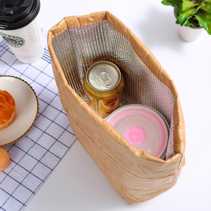 Opvouwbare, herbruikbare, waterdichte lunchtas van papier, 6l kraftpapieren lunchtassen voor dames en heren, milieuvriendelijke aluminium picknicktassen