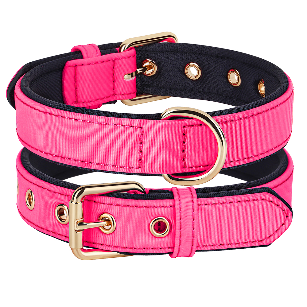 Collier en nylon imperméable pour chien, 8 couleurs, doux, rembourré, respirant, colliers pour animaux de compagnie, petits et moyens chiens, Chihahua, PDPDog, accessoires: S / Rose
