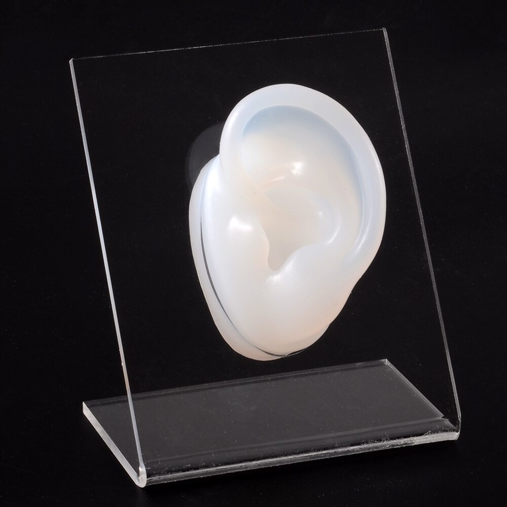 Modello di naso dell&#39;orecchio in Silicone con bordo trasparente pratica professionale piercing strumenti orecchini orecchini a bottone Display può essere riutilizzato gioielli: Clear Left