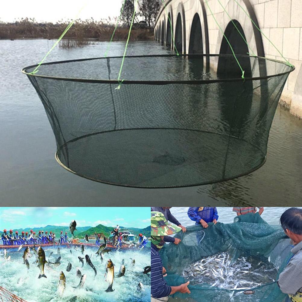 Foldbart net fiskeri landing reje agn krabbe rejer mole havn dam bhd 2