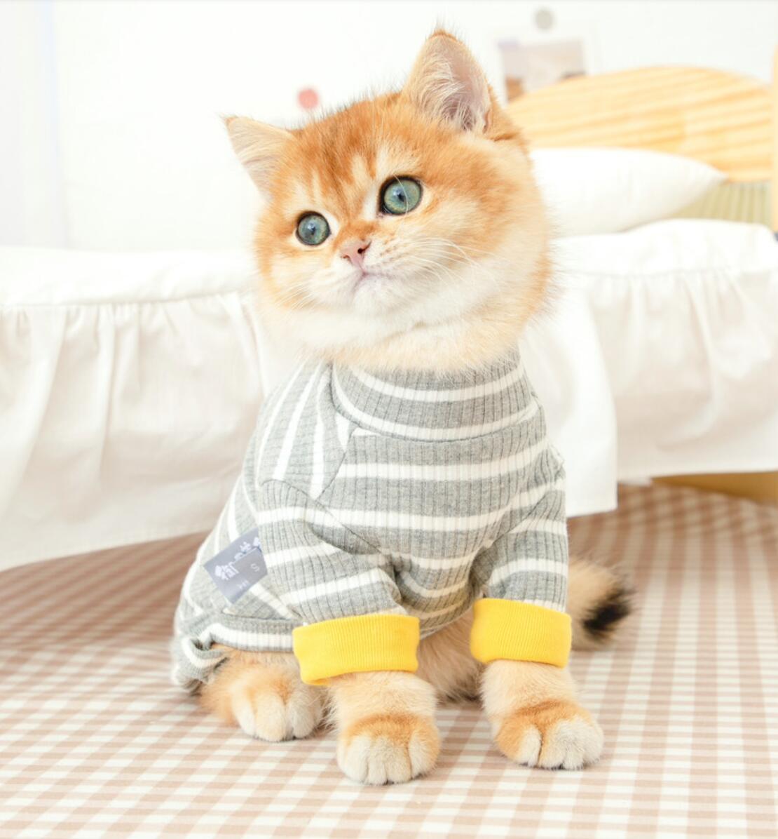 Cat Clothes Small Cats Vest Casual Warm Kitten Shirt