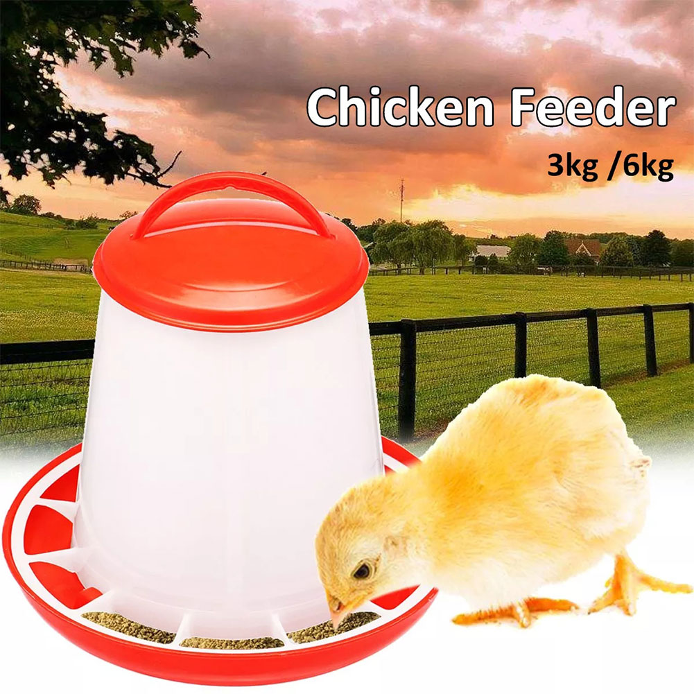 Chicken Feeder Drinker Chicken coop feeding Supplies Poultry Auto Drinking Fountains Farm Animal Food Water Accessories Tool