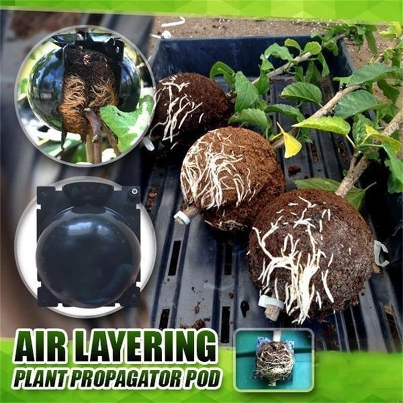 3 Sizes Plant Root Growth Box Ball Grafting Rooting Growing Box Breeding seeding Case Container Nursery Box Garden Seeds Root