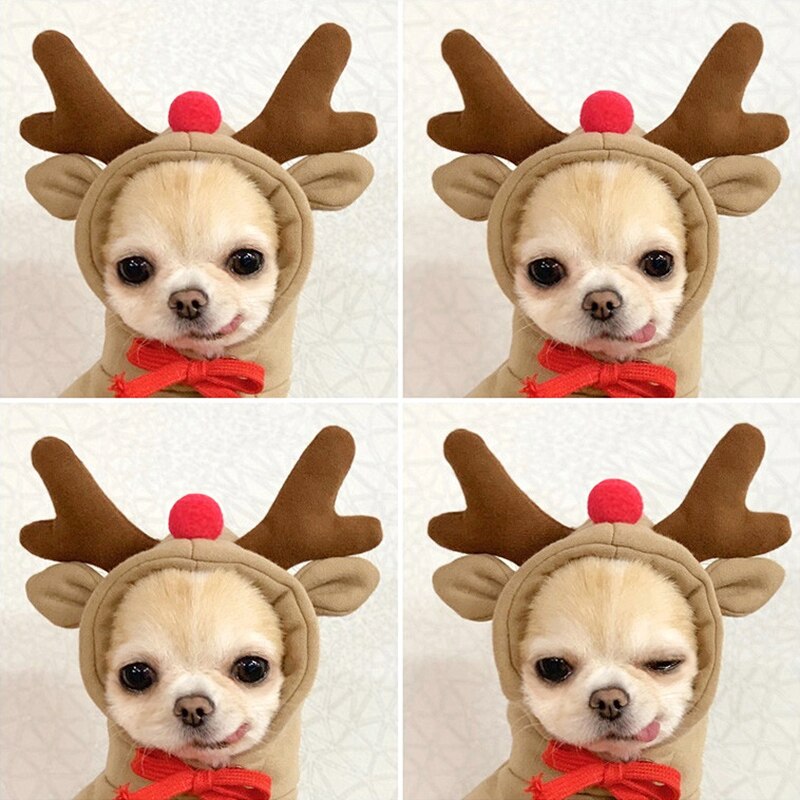 Huisdier Elanden Transformeren In Teddy Warme Herfst/Winter Trui Puppy Cartoon Kleding Hond Hoodie Hond Kerst Kleding XS-XL