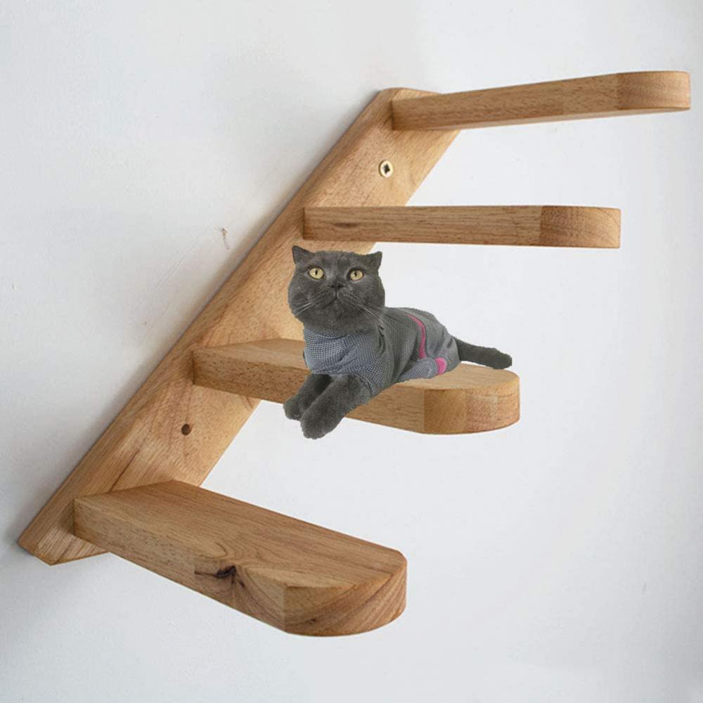 Offres Spéciales! Échelle d'escalier murale pour chats en bois massif, étagères d'escalade, jouets pour animaux de compagnie