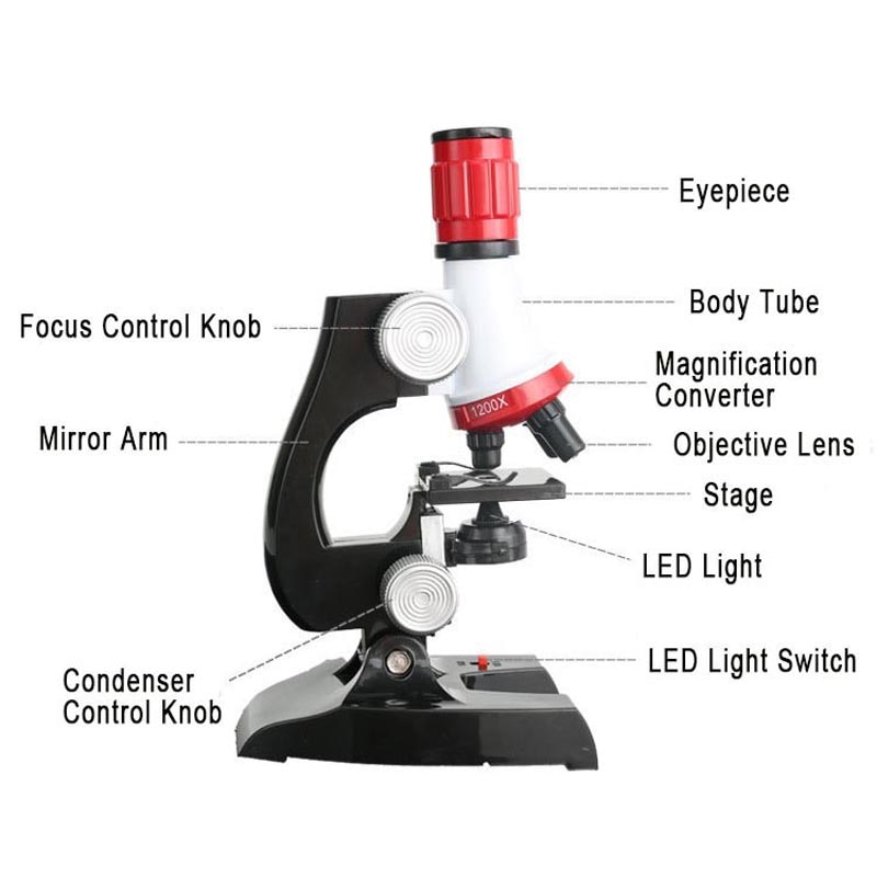 Kit de microscopio 1200X para niños y 12 Uds. De diapositivas de muestras biológicas preparadas, instrumentos de laboratorio, juguetes educativos de ciencia, para niños