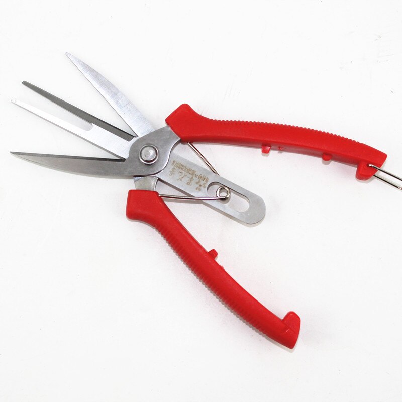 Ciseaux à fruits à Double tranchant en acier inoxydable, outils à main portables pour le jardinage
