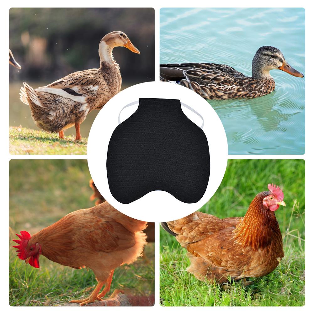 Chicken Duck Jacket Hen Chicken Saddle Apron Feather Back Protector Single Strap Standard Chicken Jackets