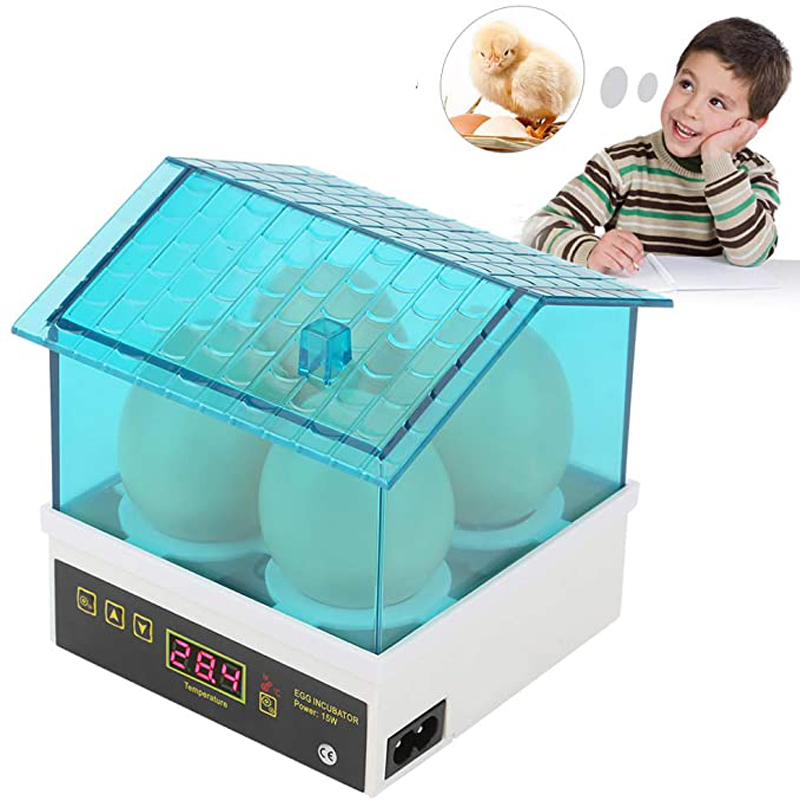 4 kpl munahautomo hautomo mini digitaalinen lämpötila brooder farm brooder viiriäinen muna hautomo hautomo laitteet lapsille