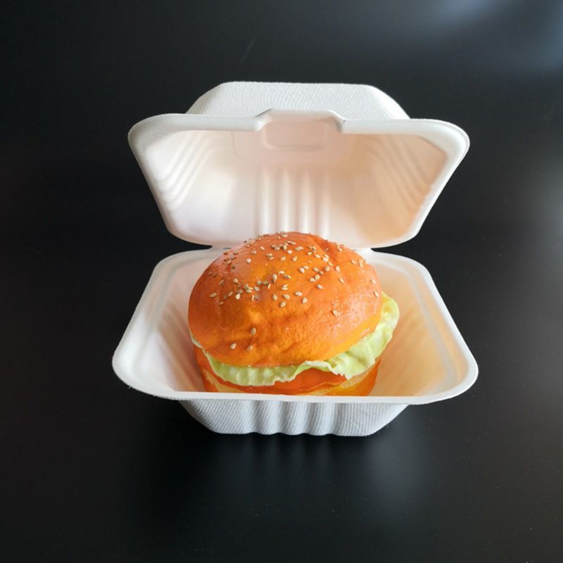 50 Teile/beutel Biologisch Abbaubar Einweg Takeout Lebensmittel Container Leck Beweis Kuchen Hamburger Halfter Kasten für Gaststätten