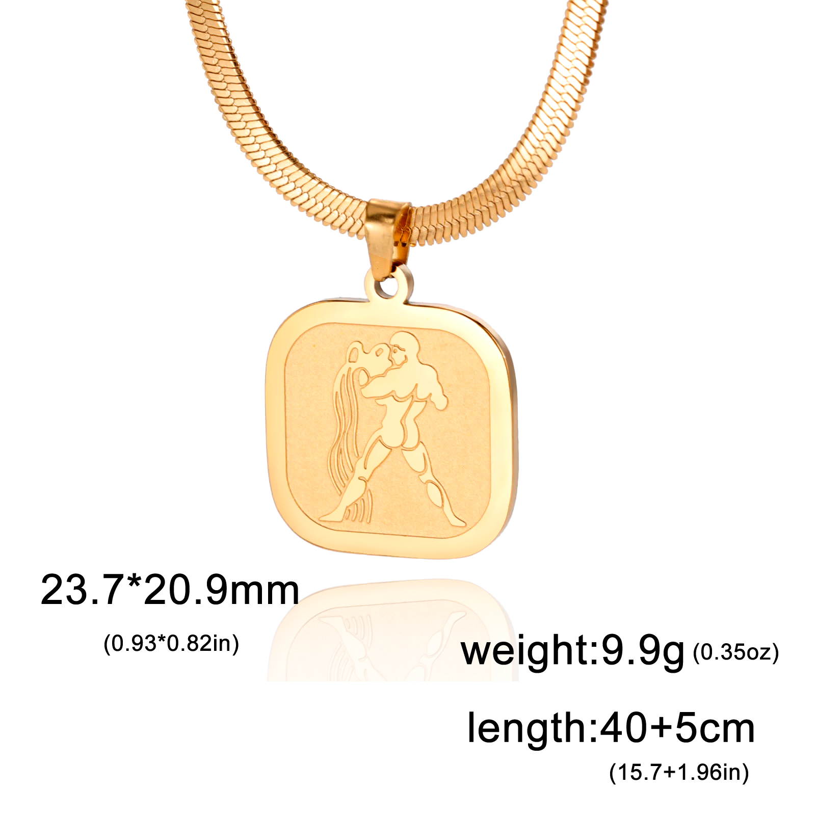 Teamer 12 Zodiac Teken Ketting Voor Vrouwen Goud Kleur 12 Constellatie Rvs Slang Ketting Kettingen Verjaardag Sieraden Cadeau: Black Gun Plated