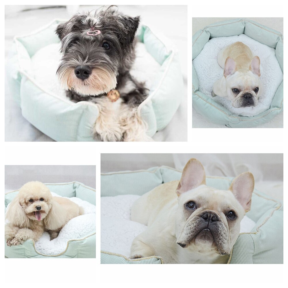 Hundebenkmatter seng til butikk hunder myk tykk varm fleecepute hundesovesofa kjæledyrbenk solseng antiskli kjæledyrseng til katt  bd0075