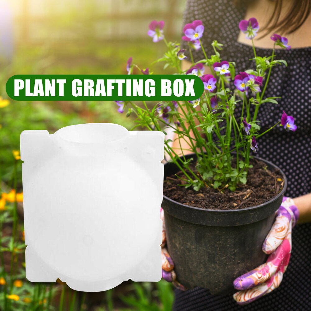 Caja de cultivo para injertos de bolas de enraizamiento de plantas de 5/8/12 pulgadas Caja de cultivo para plantar raíces de jardín contenedor de flores de plástico caja de vivero