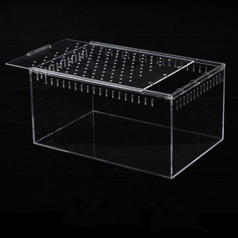1PCS 4 Size Acrylic Reptile Feeding Box Insect Box Praying Mantis Reptile Home Insect Cage Reptile Terrariums