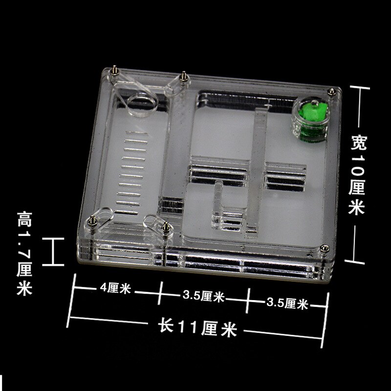 Caja de alimentación acrílica cuadrada para granja de hormigas, caja Ornamental transparente, suministros para insectos, terrario para insectos