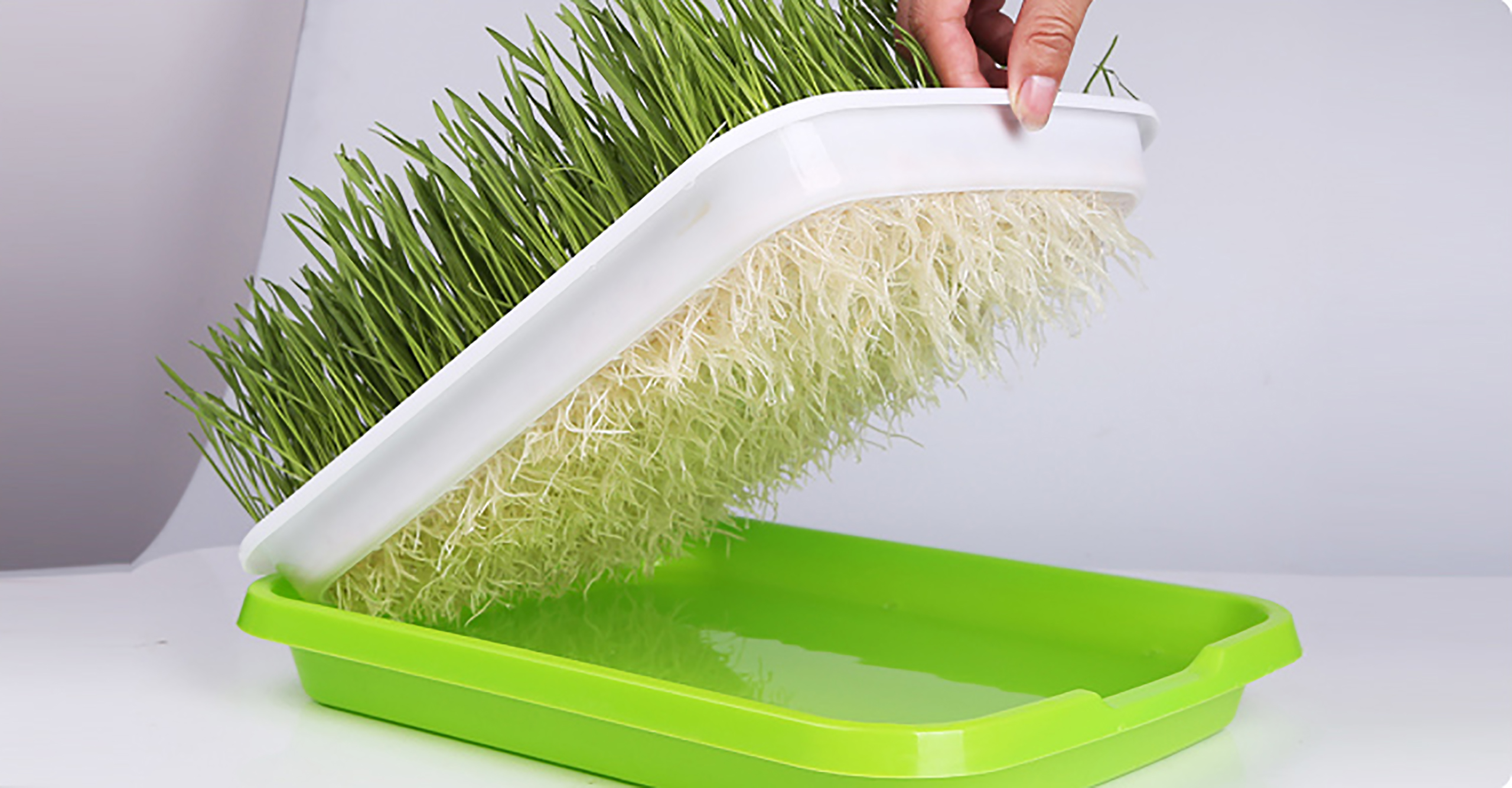 Sprouting Tray Double Layer Pea Mung Bean Peanut Wheat Hydroponic Sprout Plate Seedling Sprouter Cat Grass Soilless Planting Pot