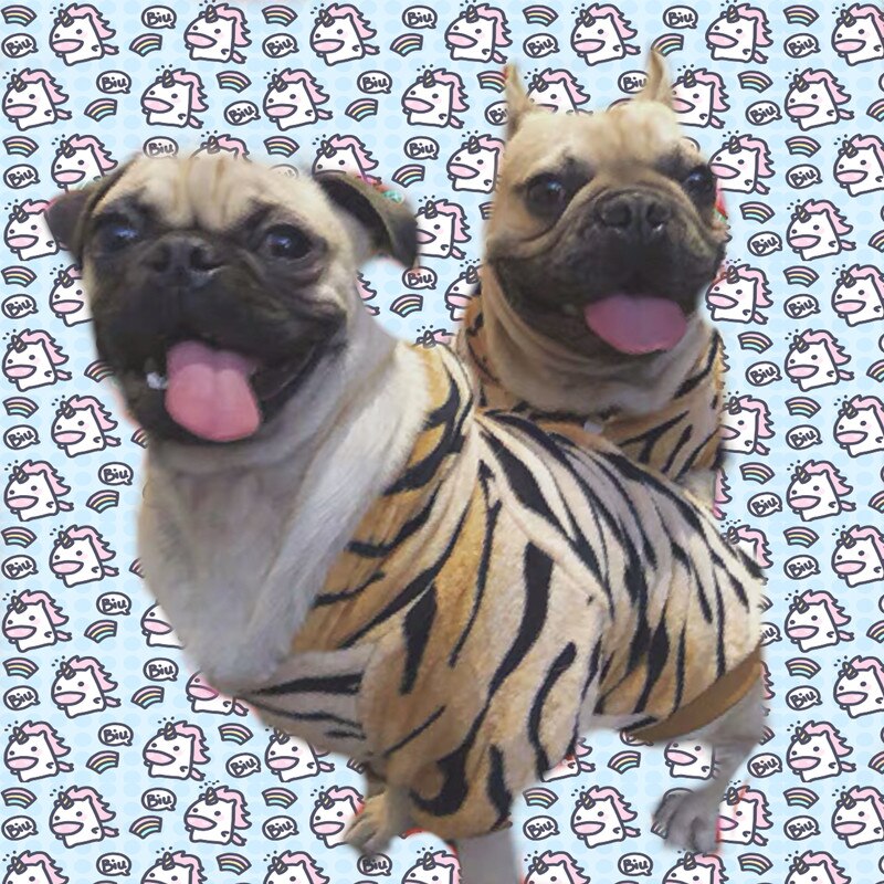 Desenhos animados outono inverno roupas de cachorro quente tigre bonito pet papillon casaco para cães pequenos bulldog francês pug chihuahua ggc18