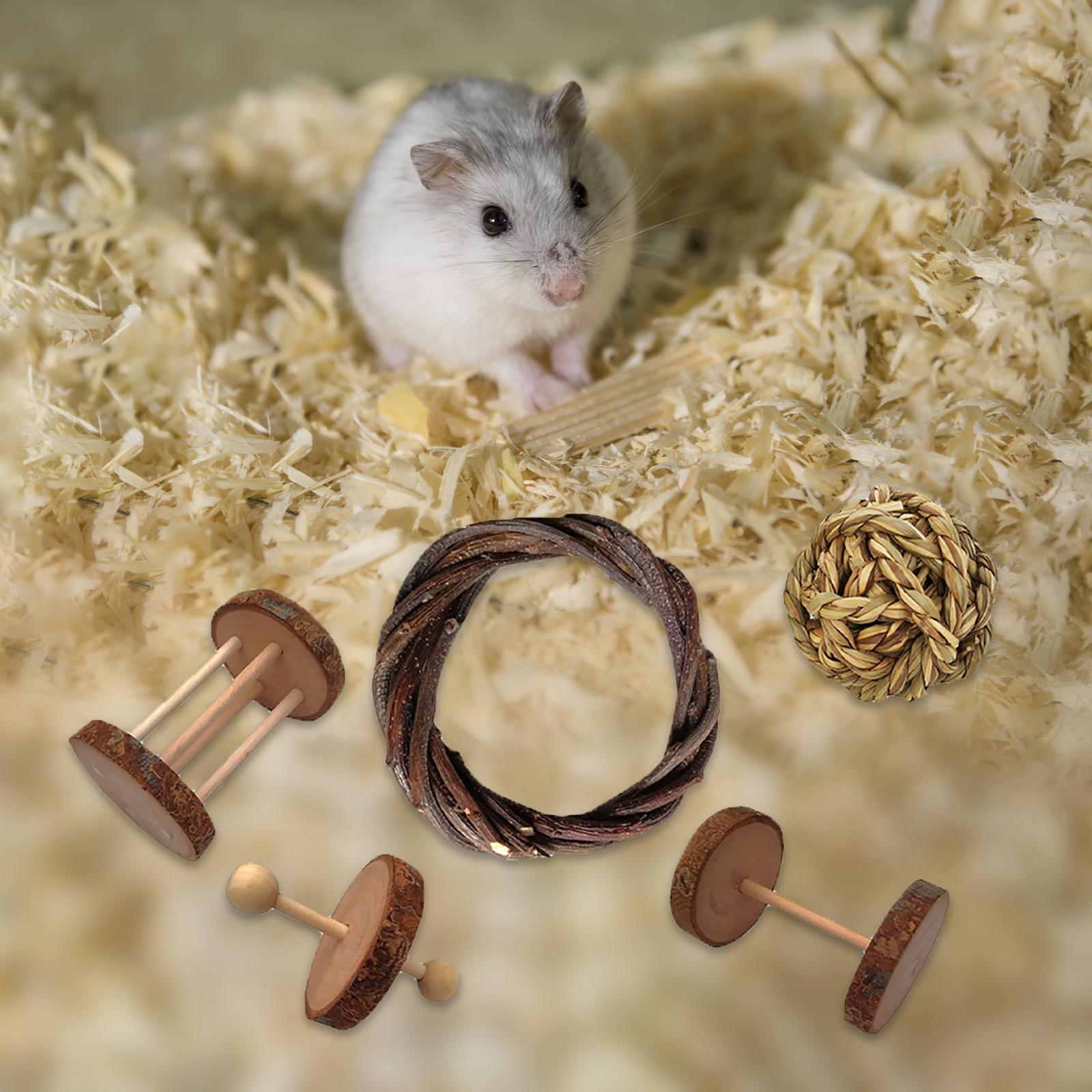 Hamster Rabbit Chew Toys Set Bite Grind Teeth Toys Guinea Pig Toys for Rabbit Rat Bunny Chinchillas Dwarf Hamsters Teeth Care