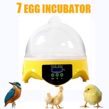 HHD 7 Eggs Incubator Machine 110V/220V Automatic Digital Mini Egg Incubator Adjustable Temperature Hatchery Brooder for Chickens