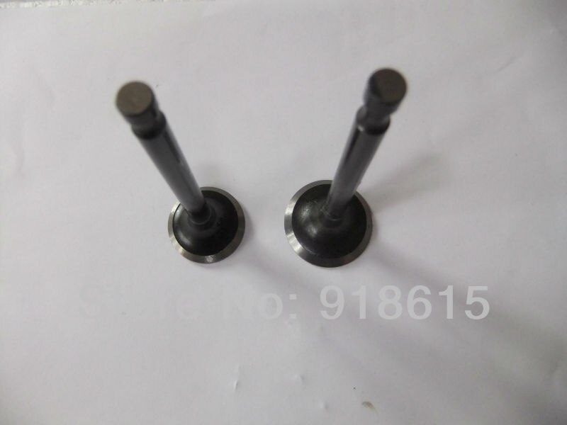 177f 173f gx270 gx240 inlaatklep en uitlaatklep generator reserveonderdelen