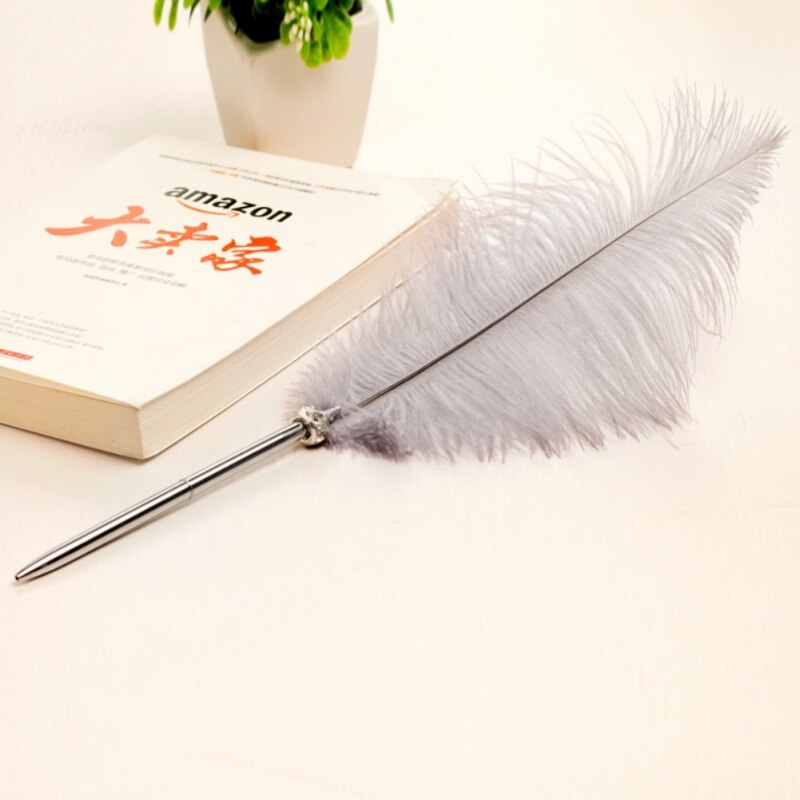 Creatieve Kleur Veer Metalen Balpen Ganzenveer Duurzaam Nuttig Dagelijks Briefpapier Kantoor Thuis Leveringen: H