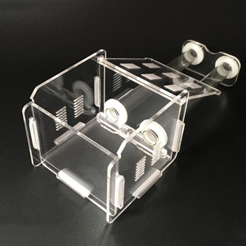 Acrylic Test Tube Nest Live Ant Activity Area Ant Farm Reptile Terrarium